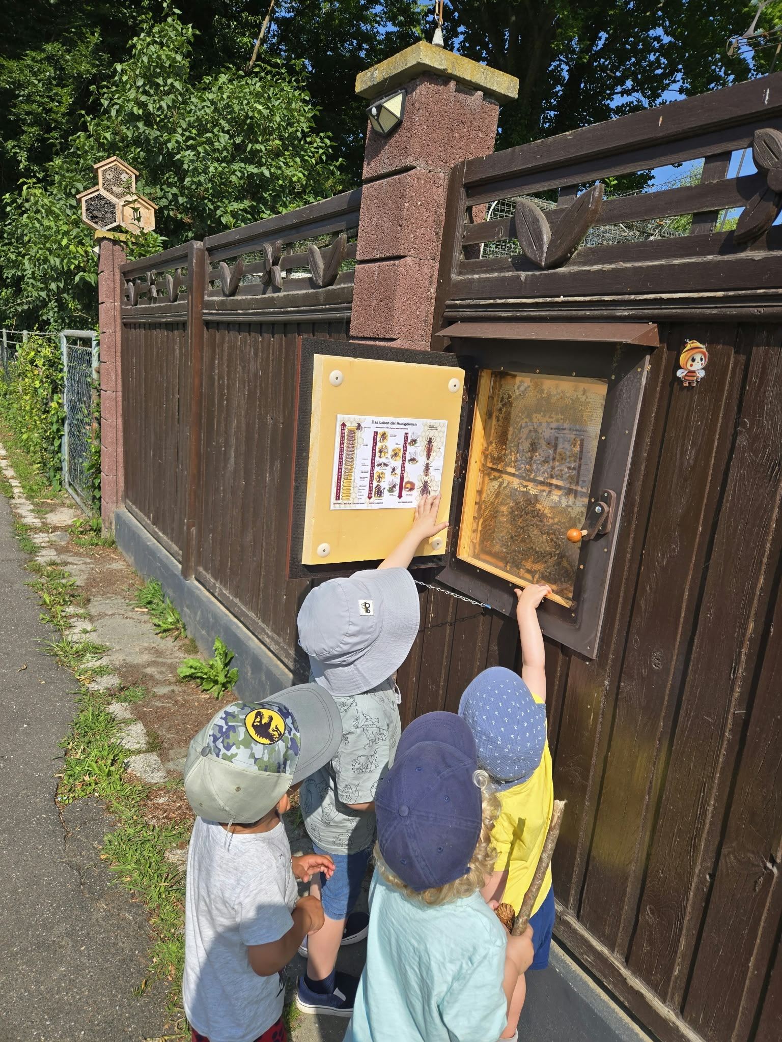 Kinder am Zaun