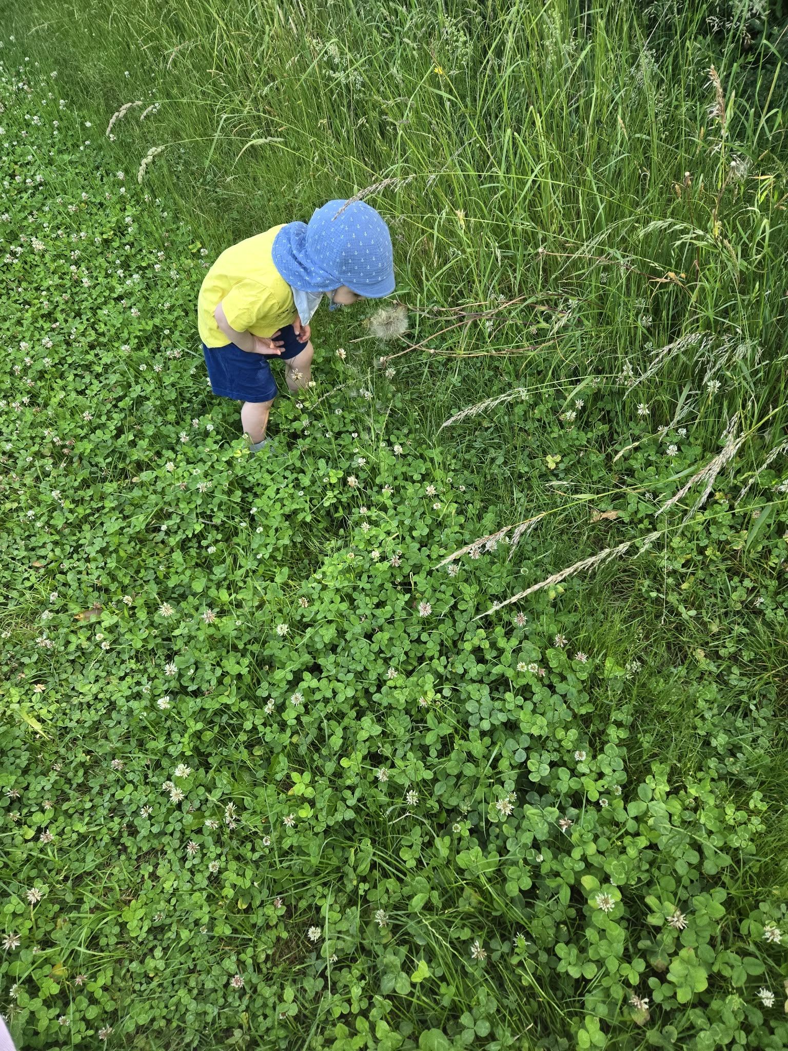 Kind in der Kleewiese