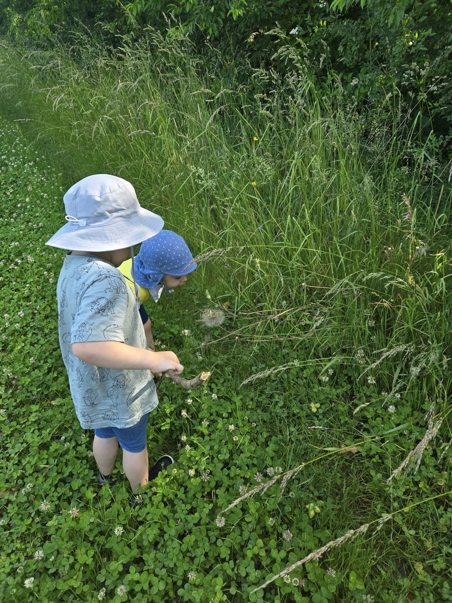Auf der Wiese